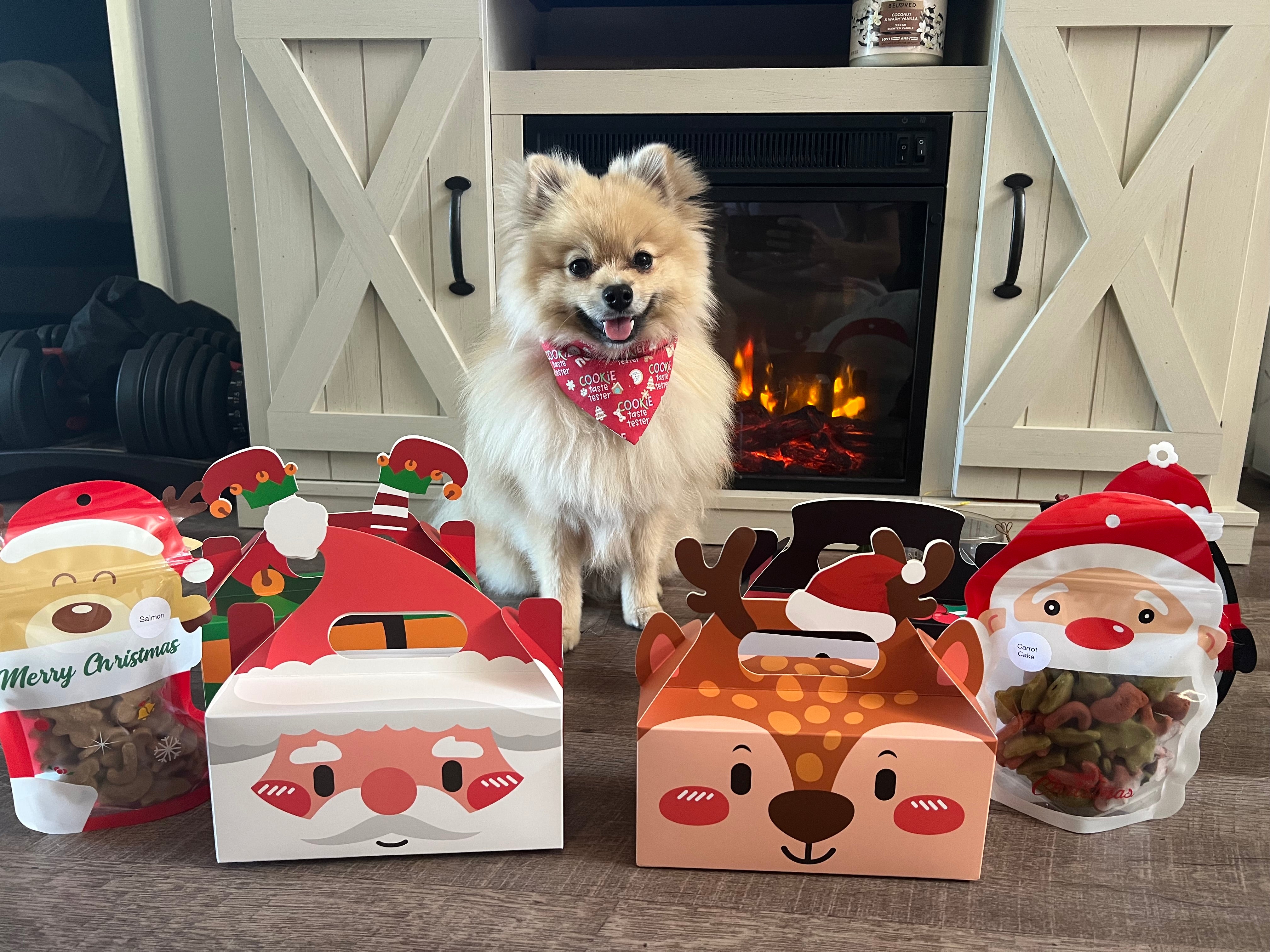 Christmas
