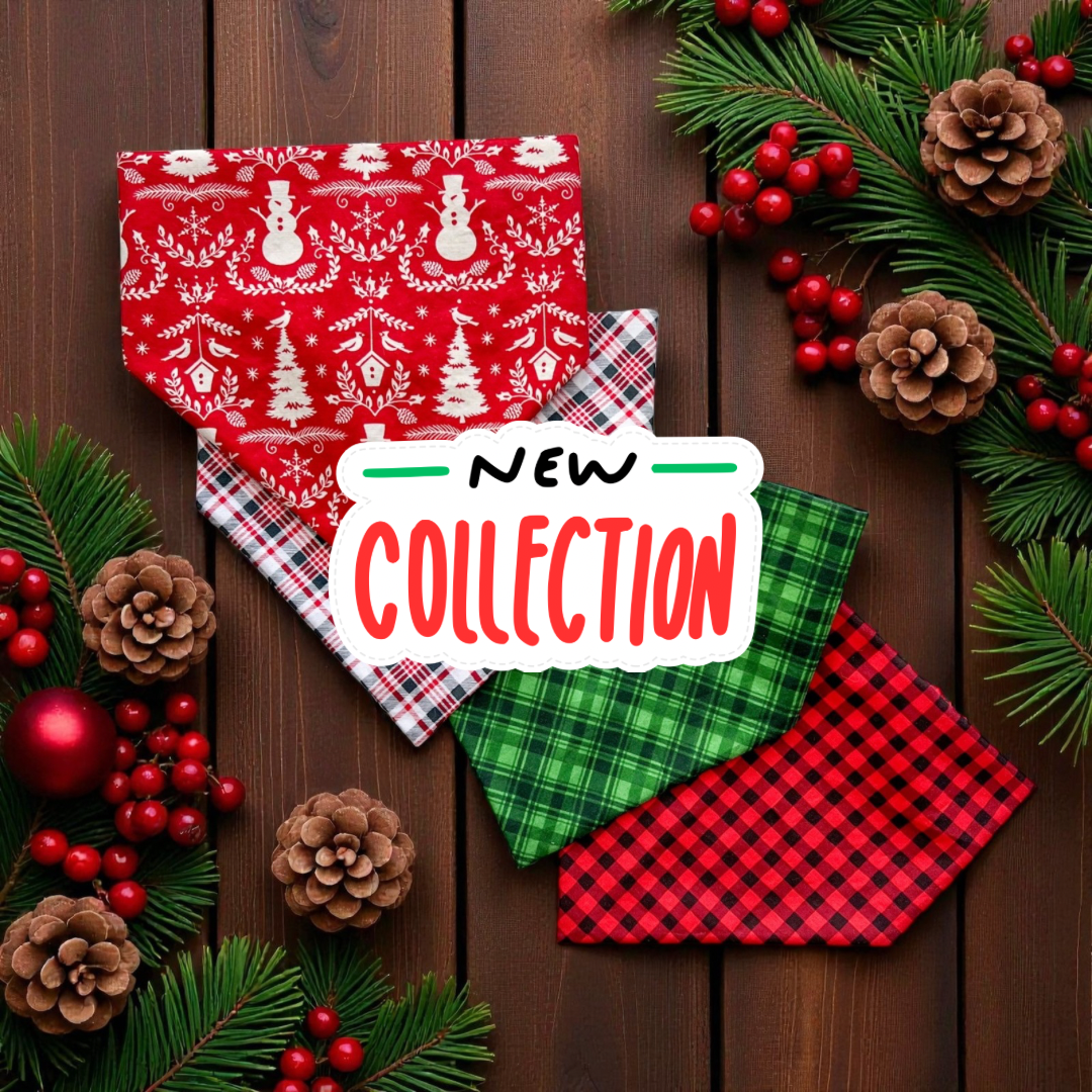 New in the Dog House