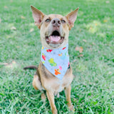 Poolside Pawgarita