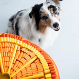 Florida Orange Snuffle Mat