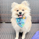 Hawaii Stitch