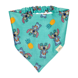 Stitch Biscuit & Bandana Box