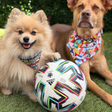 Men’s World Cup 26 Reversible Bandana (Ltd Edition)