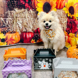 Falloween Biscuit & Bandana Box