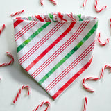 Paw-liday Biscuit & Bandana Box