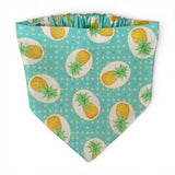 Pineapple Party