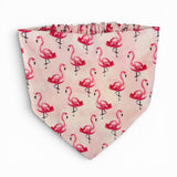 Flamingo Follies