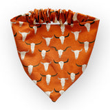 CowPup Biscuit & Bandana Box