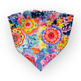 Pedaling Paisley