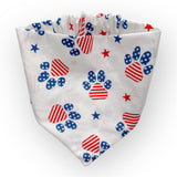 Big Flag, Loud Noises Biscuit & Bandana Box