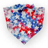 Big Flag, Loud Noises Biscuit & Bandana Box