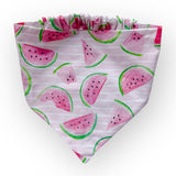 Whimsical Watermelons