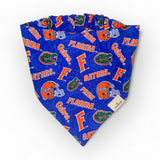 Game Day Gators