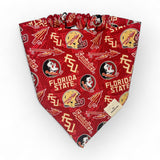 Seminole Spirit