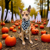 Friendly Ghosts
