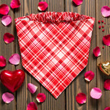 Pink & Red Plaid