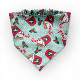 Paw-liday Biscuit & Bandana Box