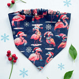 Paw-liday Biscuit & Bandana Box