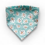 Paw-liday Biscuit & Bandana Box